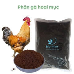 Phân gà ủ hoai | BIO-MINT