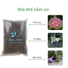 Giá thể trồng cẩm cù | BIO-MINT