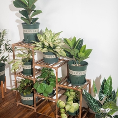 Chậu nhựa trồng cây MONROVIA 5 Gallon để bàn, treo ban công, treo tường, ngoài trời, sân vườn, tiêu chuẩn Châu Âu