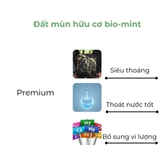 Đất mùn hữu cơ | Đất mùn Bio-mint