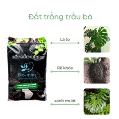 Đất trồng cây trầu bà | đất mùn hữu cơ Bio-mint