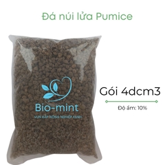 Đá pumice | đá bọt núi lửa | BIO-MINT