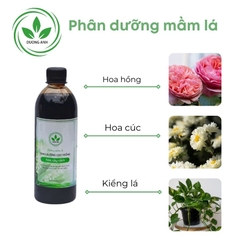 Phân dưỡng mầm lá | DƯƠNG ANH
