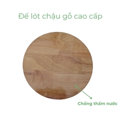 Đế lót để chậu cây có bánh xe cao cấp