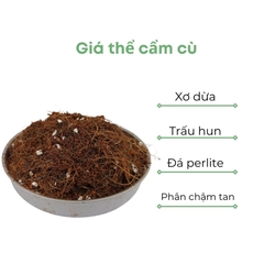 Giá thể trồng cẩm cù | BIO-MINT