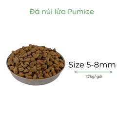 Đá pumice | đá bọt núi lửa | BIO-MINT