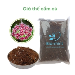 Giá thể trồng cẩm cù | BIO-MINT