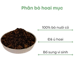 Phân bò vi sinh ủ hoai mục | BIO-MINT