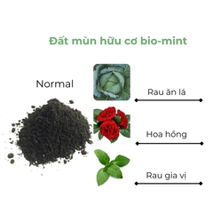 Đất mùn hữu cơ | Đất mùn Bio-mint