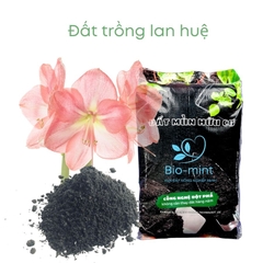 Đất trồng lan huệ | Đất mùn hữu cơ Bio-mint