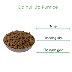 Đá pumice | đá bọt núi lửa | BIO-MINT