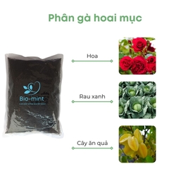 Phân gà ủ hoai | BIO-MINT
