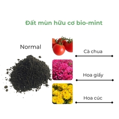 Đất mùn hữu cơ | Đất mùn Bio-mint