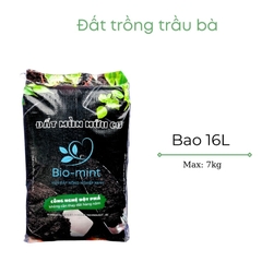 Đất trồng cây trầu bà | đất mùn hữu cơ Bio-mint