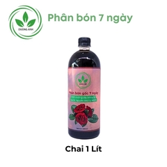 Phân bón 7 ngày cho hoa hồng | DƯƠNG ANH