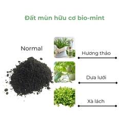 Đất mùn hữu cơ | Đất mùn Bio-mint