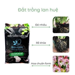 Đất trồng lan huệ | Đất mùn hữu cơ Bio-mint