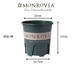 Chậu nhựa trồng cây Monrovia 2 gallon đáy M siêu thoáng | MONROVIA