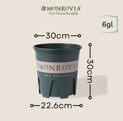 Chậu nhựa chính hãng MONROVIA  6GL-M đáy siêu thoáng | Φ30 | hàng nhập khẩu chính ngạch 100%