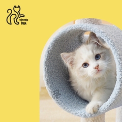 Trụ cào móng cho mèo - Cattree siêu dễ thương - Tiệm Mèo Moa