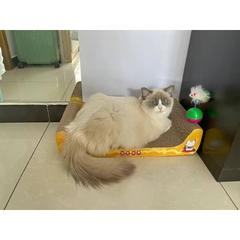 🌿[CÓ SẴN] Cào móng Sofa giường nằm cao cấp - Cào móng cho mèo giảm căng thẳng - Tiệm Mèo Moa