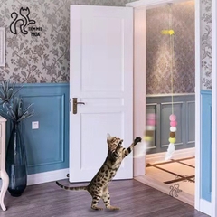 Câu mèo dán tường - Đồ chơi cho mèo - Tiệm Mèo Moa