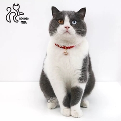 Vòng cổ phong cách Nhật Bản dễ thương cho mèo - Tiệm Mèo Moa