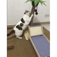 Ghế bãi biển cây dừa - Cào móng Sisal chống xước - Tiệm Mèo Moa