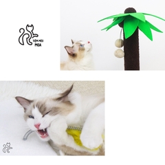 Cattree cây dừa - Cây cào móng cho mèo - Tiệm Mèo Moa