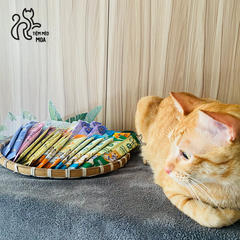 Set 100 cây súp thưởng nội địa 15gram nhiều loại - Snack cho mèo - Tiệm Mèo Moa