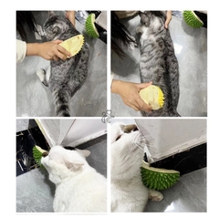 Sầu riêng chải lông/ cạ massage cho mèo - Đồ chơi cho mèo - Tiệm Mèo Moa