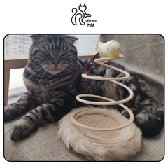 Dĩa lò xo cho mèo - Đồ chơi cho mèo - Tiệm Mèo Moa