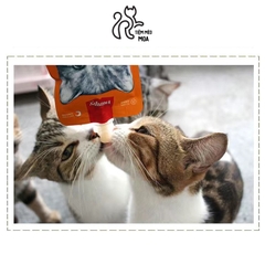 Súp thưởng Wanpy nắp vặn 90gram cho mèo - Tiệm Mèo Moa