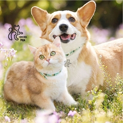 Vòng cổ hỗ trợ trị ve, rận cho thú cưng thành phần tinh dầu thực vật - Tiệm Mèo Moa