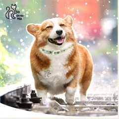 Vòng cổ hỗ trợ trị ve, rận cho thú cưng thành phần tinh dầu thực vật - Tiệm Mèo Moa