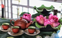 Trà sen đặc sản