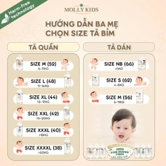 Tã Bỉm Molly Kids Hàn Quốc cao cấp