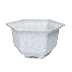 Chậu Lục Giác - Chậu Bonsai