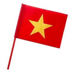 Cờ cầm tay