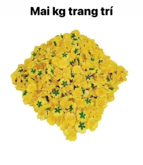 Phụ kiện cây cảnh tết