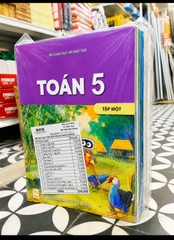 Bộ sách giáo khoa lớp 5 + BT môn chính (17 quyển)