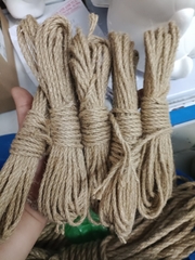 Dây dừa