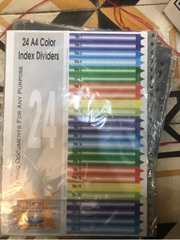 Chia file a4 TM 24a4 color