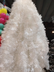 Dây chồn noel