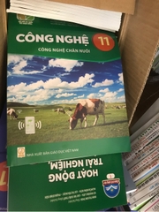 Sách giáo khoa lớp 11