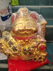 Mèo thần tài