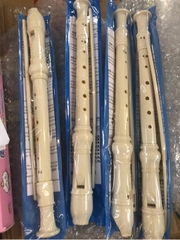 Sáo học cụ