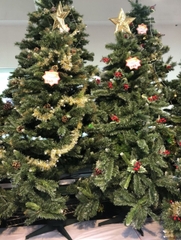 Cây thông noel 3 lá