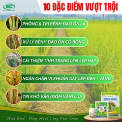 BỘ 3 KIM CƯƠNG