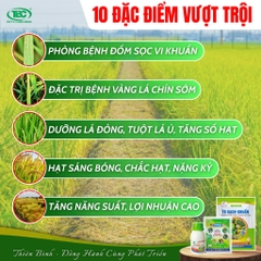 BỘ 3 KIM CƯƠNG